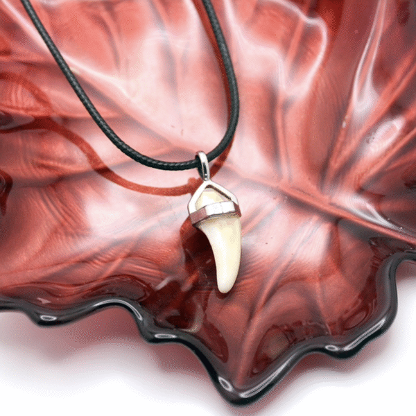 Dije plata con colmillo